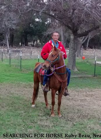 SEARCHING FOR HORSE Ruby Beau, Near Jonesborough, TX, 76538